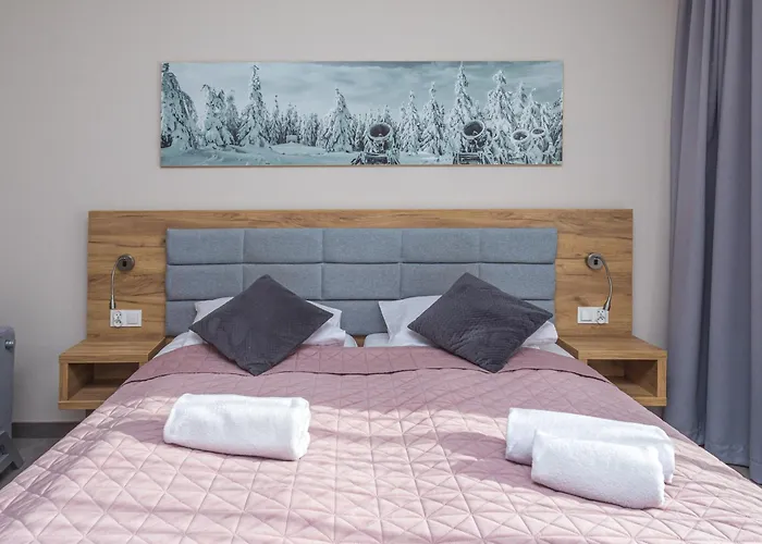 Czarna Gora 233 Apartment 3*